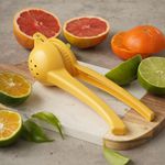 I44144-EXPRIMIDOR-CITRICOS---02