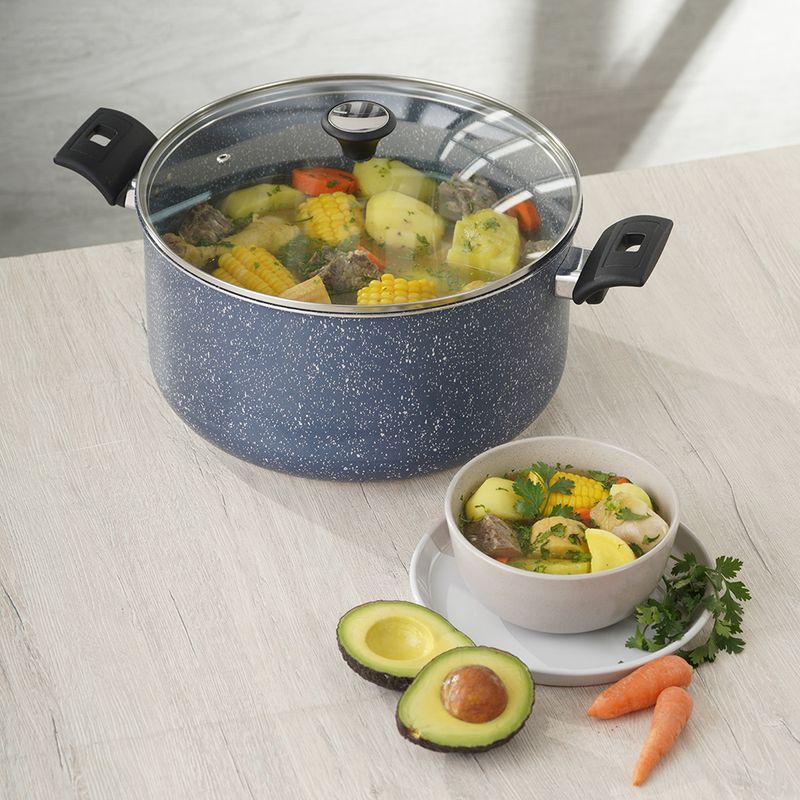 L39757-OLLA-AMATISTA-28CM-TV---03.jpg